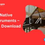 Native Instruments Profile Picture