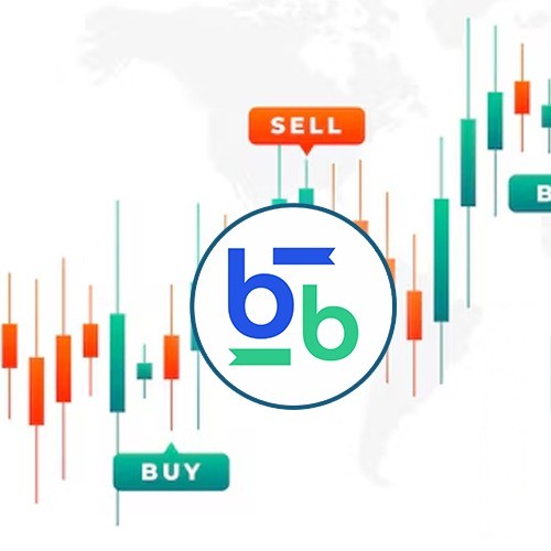 Bitbse Exchange Profile Picture