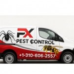 Pest Control Xpertz profile picture