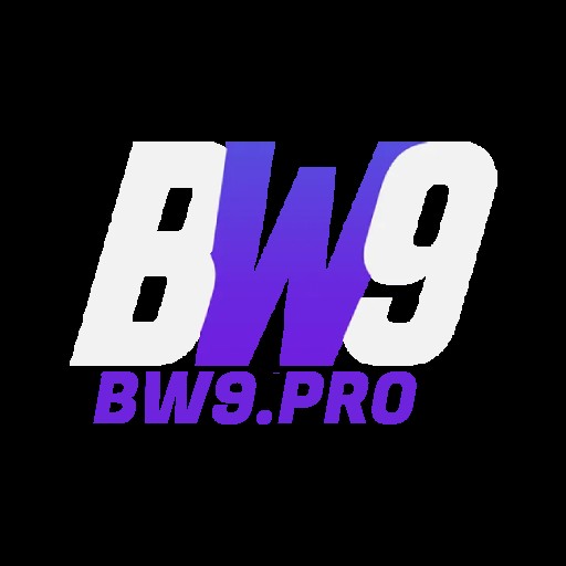 bw9 pro Profile Picture