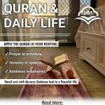 Quranand DailyLife Profile Picture