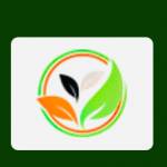 Smith Property Care profile picture