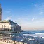 georg netax Profile Picture