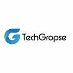 TechGropse Qatar Mobile Development Company Profile Picture